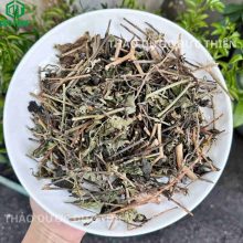 Cây đuôi chuột khô, cây mạch lạc thảo dược Đức Thiện