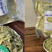 Địa chỉ mua phan tả diệp khô uy tín, chất lượng, đóng gói bao bì sạch đẹp tại Thảo Dược Đức Thiện