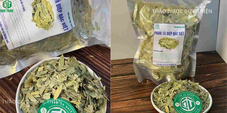 Địa chỉ mua phan tả diệp khô uy tín, chất lượng, đóng gói bao bì sạch đẹp tại Thảo Dược Đức Thiện