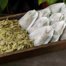 Hình ảnh so sánh phan tả diệp dạng trà túi lọc tiện dụng và dạng lá khô truyền thống