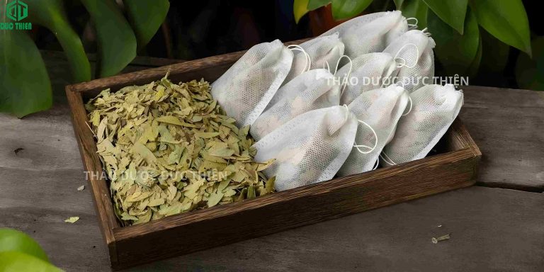Hình ảnh so sánh phan tả diệp dạng trà túi lọc tiện dụng và dạng lá khô truyền thống