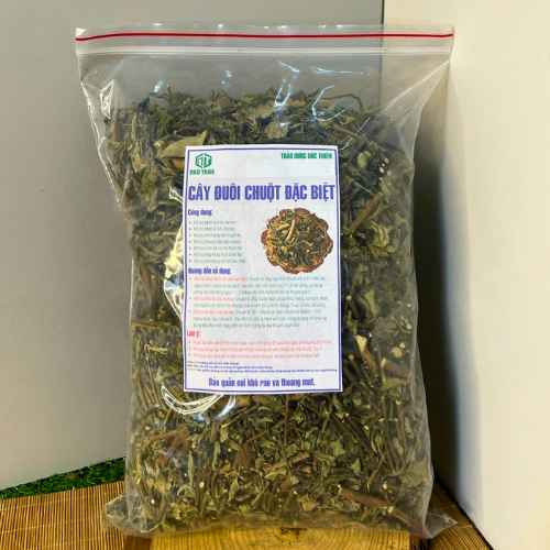 cong-dung-cay-duoi-chuot-dac-biet-tri-tieu-duong-tim-mach