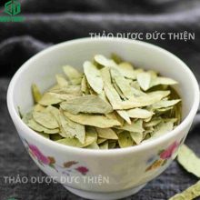 Uống nước lá phan tả diệp hàng ngày có tác dụng nhuận tràng, trị táo bón và thải độc cơ thể