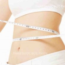 Hình ảnh minh họa hiệu quả uống trà lá phan tả diệp giúp giảm cân, thải mỡ thừa và giữ dáng thon gọn