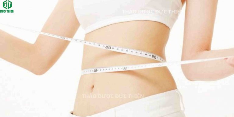 Hình ảnh minh họa hiệu quả uống trà lá phan tả diệp giúp giảm cân, thải mỡ thừa và giữ dáng thon gọn