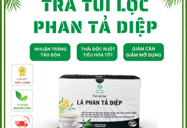 Trà Phan Tả Diệp Đức Thiện – Hỗ Trợ Nhuận Tràng, Giải Độc, Giảm Táo Bón (Set 20 Túi Lọc)
