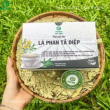 Hộp trà lá phan tả diệp túi lọc (20 gói) thiết kế sang trọng, cam kết 100% thảo dược thiên nhiên