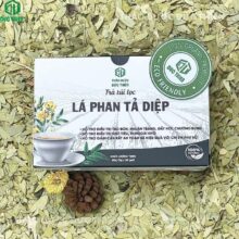 Nơi bán trà túi lọc phan tả diệp giúp giảm cân, an toàn tự nhiên, lành tính