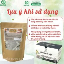 Những lưu ý quan trọng khi dùng phan tả diệp trị táo bón: Không dùng cho bà bầu và trẻ em dưới 12 tuổi