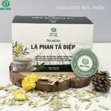 Địa chỉ mua trà phan tả diệp dạng hộp uy tín, giá tốt tại Thảo Dược Đức Thiện