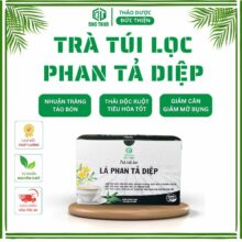 Trà Phan Tả Diệp Túi Lọc (Set 20 Túi Lọc) – Hỗ Trợ Giảm Cân Tự Nhiên, Nhuận Tràng, Giải Độc, Giảm Táo Bón