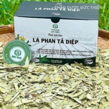 Trà thảo dược phan tả diệp Đức Thiện hỗ trợ điều trị đầy hơi, chướng bụng và khó tiêu