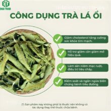 tổng hợp tác dụng của lá ổi khô: trị tiểu đường, giảm cân và bảo vệ tim mạch.