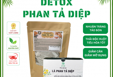 Trà Túi Lọc Phan Tả Diệp (Set 30 Túi Lọc) – Hỗ Trợ Táo Bón, Nhuận Tràng, Thải Độc, Giảm Cân