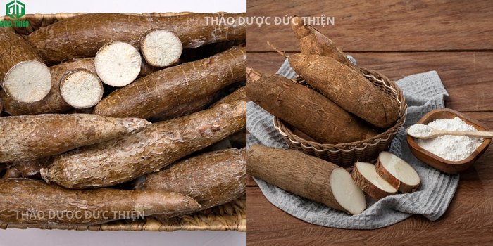 Củ sắn dây ta tươi nguyên liệu làm bột tại Thảo Dược Đức Thiện