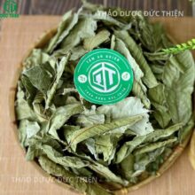 Thảo Dược Đức Thiện là địa chỉ bán lá ổi khô uy tín tại TPHCM, cam kết hàng sạch và nguyên chất.