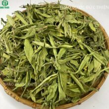 Cận cảnh lá cỏ ngọt sấy lạnh giữ nguyên màu xanh diệp lục và dược tính hỗ trợ ổn định đường huyết