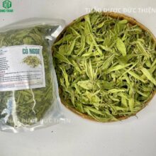 Sản phẩm cỏ ngọt sấy khô Đức Thiện hỗ trợ điều trị cao huyết áp và béo phì hiệu quả