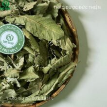 Lá ổi khô đặc biệt tại Thảo Dược Đức Thiện, phơi đủ nắng giữ được độ xanh và mùi thơm đặc trưng.
