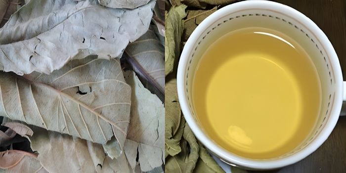 Ly nước lá ổi khô có màu vàng óng, hỗ trợ giảm cân, trị mỡ máu và tốt cho tiêu hóa.