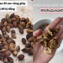 Hướng dẫn cách sao vàng thịt quả kha tử giúp giảm vị đắng chát để ngậm trực tiếp trị ho