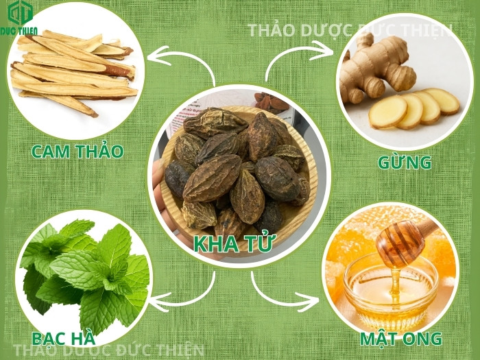 Kết hợp giữa quả kha tử với dược liệu như cam thảo, gừng, bạc hà và mật ong giúp tăng hiệu quả trị ho