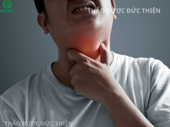 Người bị khản tiếng và mất giọng kinh niên sử dụng quả kha tử để phục hồi thanh quản