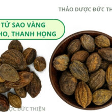 Cận cảnh quả kha tử khô vỏ vàng nâu nhăn nheo đặc trưng giúp trị viêm họng hạt hiệu quả