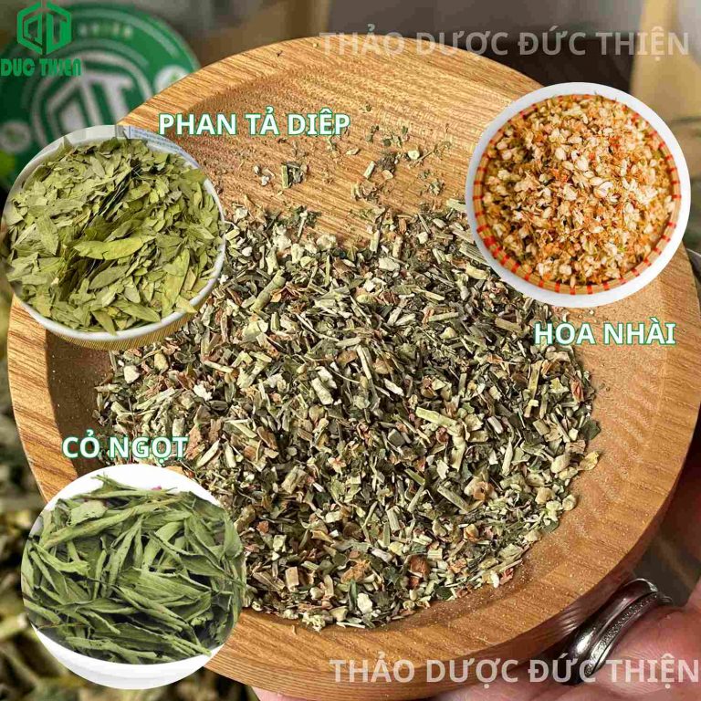 Thành phần bên trong trà túi lọc phan tả diệp
