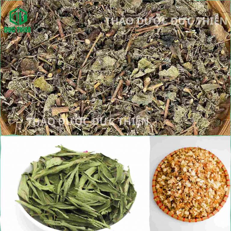 Thành phần trà túi lọc chè dây Thảo dược Đức Thiện