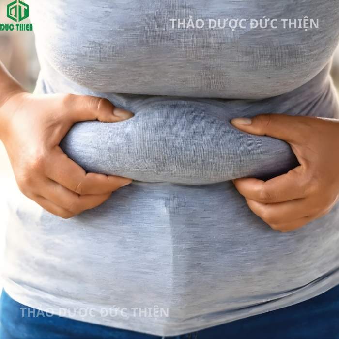 Hình ảnh mỡ bụng dày và thừa cân tích tụ lâu năm, nỗi lo của nhiều chị em văn phòng cần giải pháp giảm cân từ trà lá nam 10 vị thiên nhiên