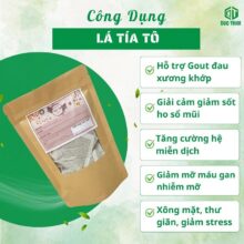 5 công dụng vàng của trà tía tô túi lọc: giảm đau xương khớp, giải cảm và làm đẹp da