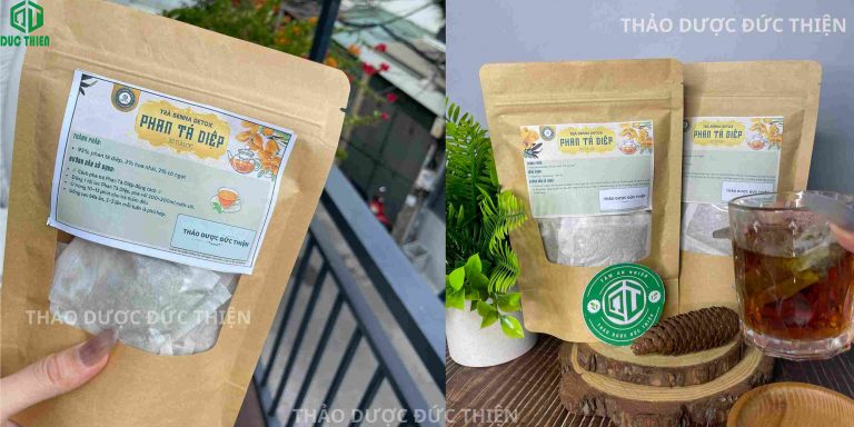 Túi trà túi lọc phan tả diệp hỗ trợ giảm cân