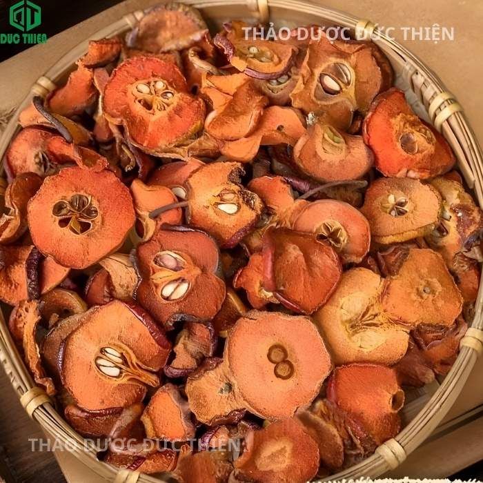 Táo mèo (sơn tra) là thành phần trong trà lá nam 10 vị túi lọc được sấy khô thái lát, dược liệu giúp tăng cường tiêu hóa chất béo và giảm cholesterol xấu trong máu.