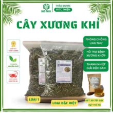 1 Kg Cây Xương Khỉ (Cây Bìm Bịp) Đặc Biệt – Hỗ Trợ Men Gan Cao, Xơ Gan, Đau Nhức Xương Khớp,