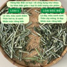 cach-nau-nuoc-cay-xuong-khi-de-uong-hieu-qua