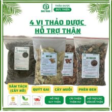 Combo 4 Vị Hỗ Trợ Vấn Đề Về Thận – Cây Muối, Quýt Gai, Phèn Đen, Nổ Sâm Tách (500g/loại)