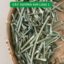 cay-xuong-khi-loai-1-chat-luong-cao