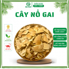 Cây Nổ Gai Khô (Cây Cơm Nguội, Cây Phèn Trắng) – Hỗ Trợ Gout, Thoái Hoá Đốt Sống, Xương Khớp
