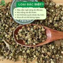 Quả bạch tật lê khô (Gai ma vương) giúp tăng cường sinh lý nam giới - Thảo Dược Đức Thiện