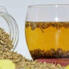 Hướng dẫn sao vàng hạ thổ quả bạch tật lê khô để kích hoạt dược tính trước khi ngâm rượu