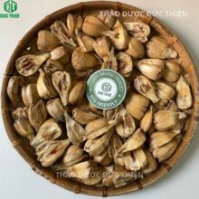Địa chỉ bán sỉ lẻ quả dứa dại khô uy tín thành phố Hồ Chí Minh
