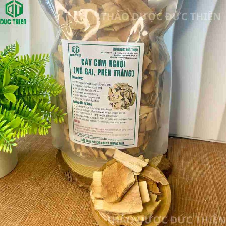 Bao bì túi cây nổ gai (cơm nguội) Thảo Dược Đức Thiện