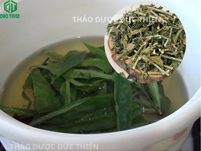 cách nấu lá tươi cây bìm bịp uống