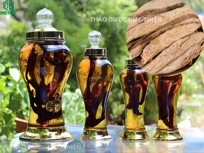 Hướng dẫn cách ngâm rượu thiên niên kiện giúp giảm đau nhức xương khớp và tăng cường khí huyết hiệu quả.