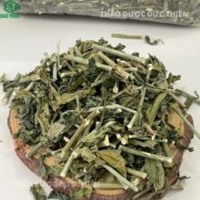 Cận cảnh dược liệu cây mảnh cộng (xương khỉ) sấy khô: Thân xanh, cắt khúc đều, không lẫn cỏ dại