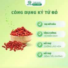 Infographic 4 công dụng chính của kỷ tử đỏ