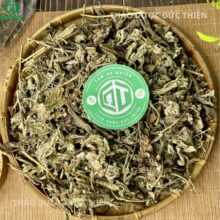 Dược liệu cây cải trời khô nguyên chất (Hạ Khô Thảo Nam) chuyên dùng tiêu u tán kết.