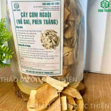 Cây nổ gai khô sạch hàng loại 1