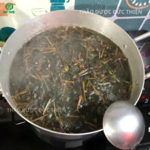 Hướng dẫn cách nấu nước lá thuốc dòi khô trị ho và thanh nhiệt tại nhà